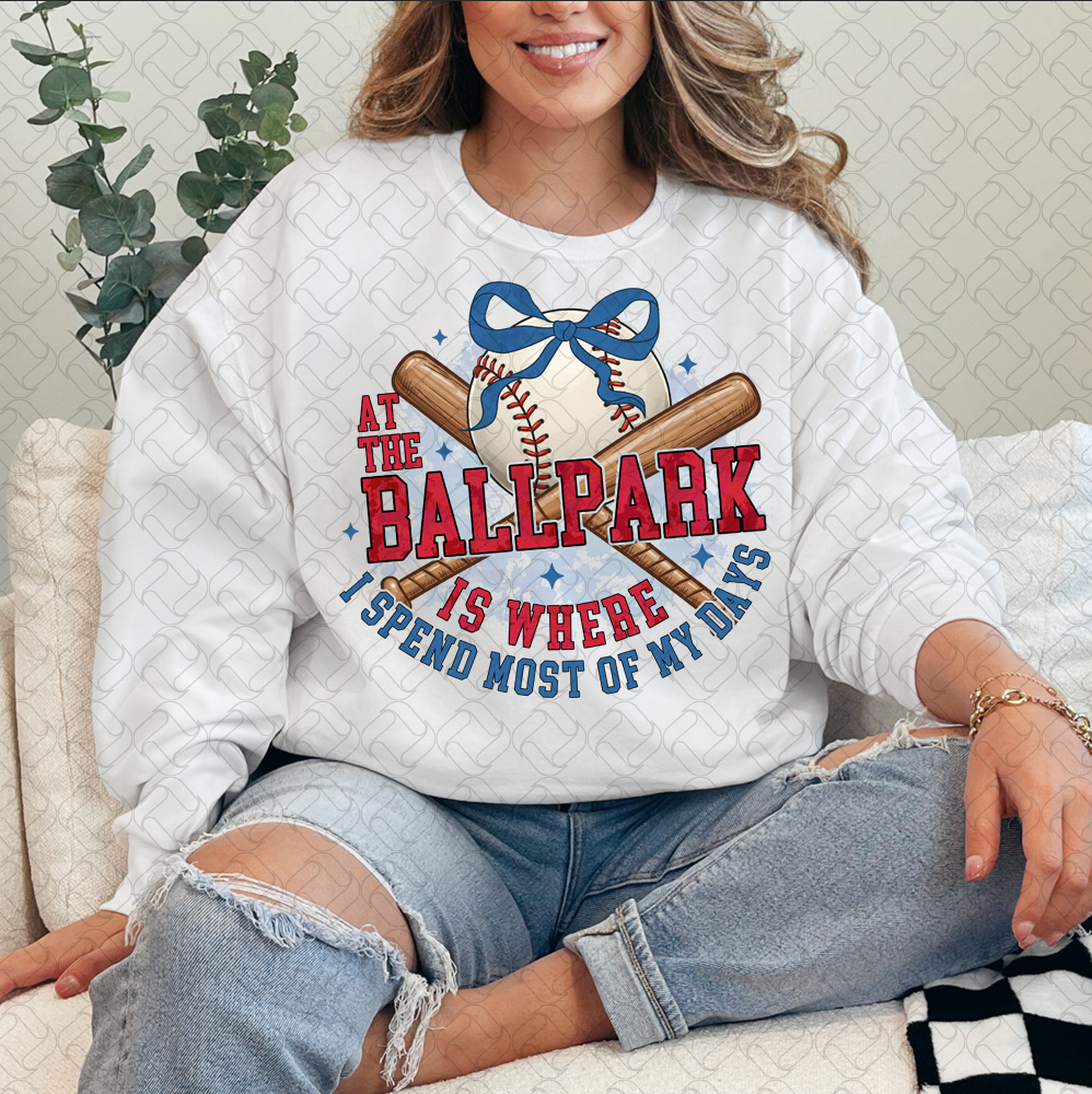 At the Ballpark