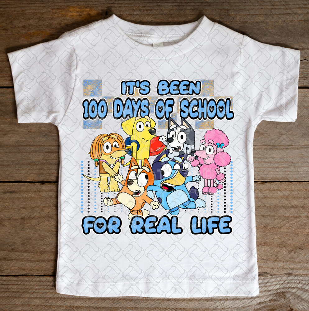 100 days of school for real life