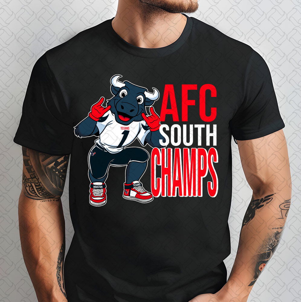 AFC SOUTH CHAMPS