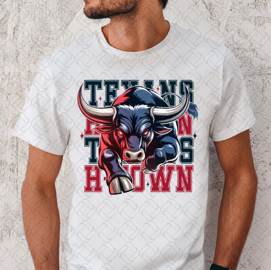 Houston Football Game