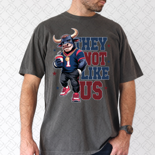 They Not Like Us Houston Football