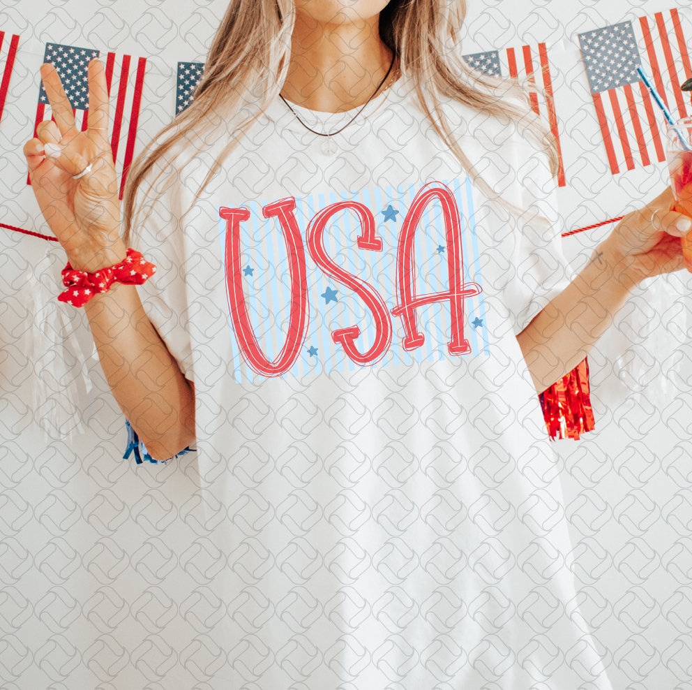 USA (3) flag