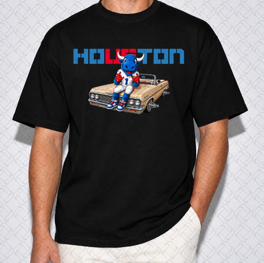 houston 8